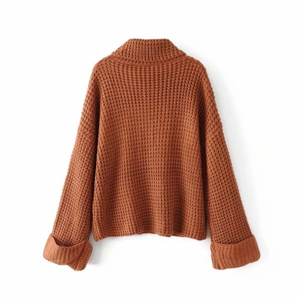 Fashionable Cotton Blended Women Sweater for Casual Use